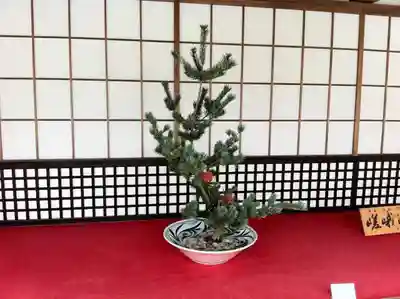 大覚寺のその他建物