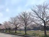 光明寺(馬木不動尊)の自然