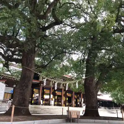 明治神宮(東京都)