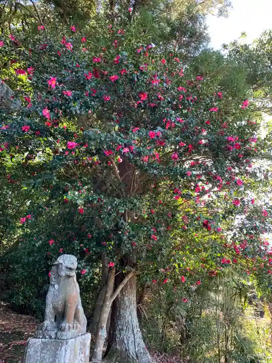 玉前神社の狛犬