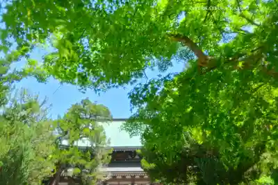 円覚寺(神奈川県)