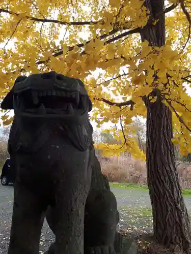 晩生内神社の狛犬