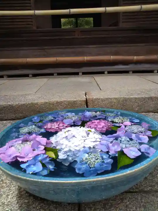 柳谷観音 楊谷寺の手水舎