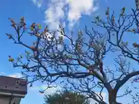 山角天神社(神奈川県)