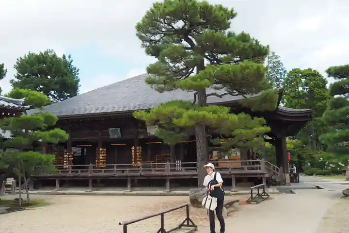 智恩寺(京都府)
