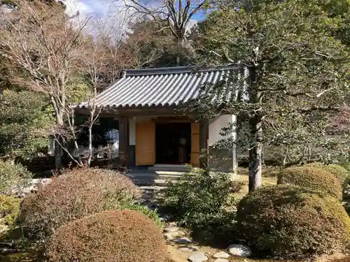 隨心院（随心院）(京都府)