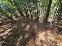 羽黒神社(飛駒町)(栃木県)