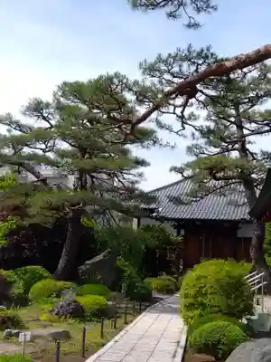 善明寺(東京都)