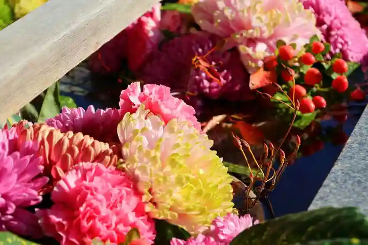 豊景神社の手水舎