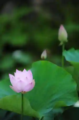浄土寺(兵庫県)