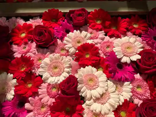 東京大神宮(東京都)