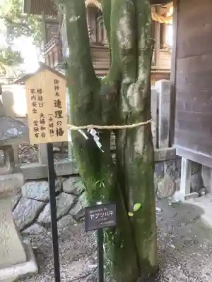 八王子神社(愛知県)