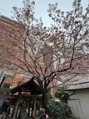 蔵前神社の{uncategorized: "未分類", other: "その他", undefined: "問題あり", building: "その他建物", grave: "お墓", sacred_gate: "鳥居", guardian: "狛犬", statue: "像", buddha: "仏像", history: "歴史", nature: "自然", garden: "庭園", animal: "動物", pagoda: "塔", temizu: "手水舎", mountain_gate: "山門・神門", sanctuary: "本殿・本堂", subordinate: "末社・摂社", art: "芸術", scenery: "景色", jizo: "地蔵", ema: "絵馬", goshuin: "御朱印", omikuji: "おみくじ", items: "授与品その他", amulet: "お守り", goshuincho: "御朱印帳", eats: "食事", festival: "お祭り", votive_dance: "神楽", shichigosan: "七五三参", wedding: "結婚式", experience: "体験その他", initially: "初詣", around: "周辺", anti_infection: "感染症対策"}