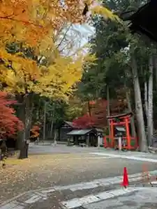 日枝神社(岐阜県)(2024年11月16日(土) 08時56分24秒投稿)