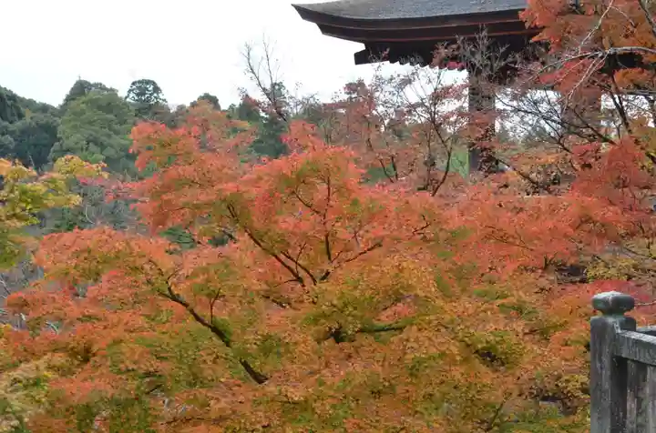 清水寺(京都府)