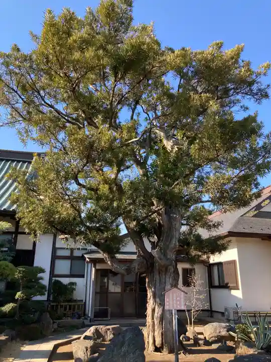 隆盛寺(神奈川県)