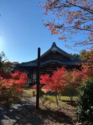 大森寺(愛知県)
