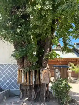 櫛田神社(福岡県)