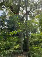 土佐神社の自然