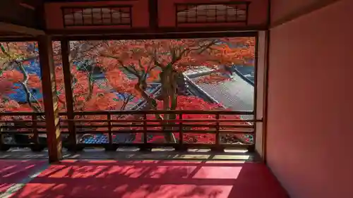 柳谷観音　楊谷寺(京都府)