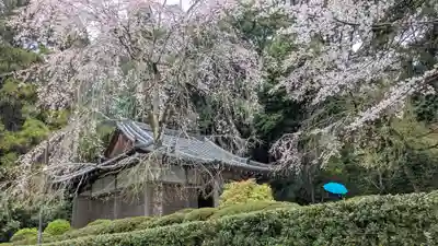 醍醐寺(京都府)