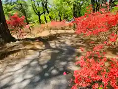 滑川神社 - 仕事と子どもの守り神の周辺