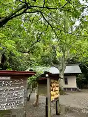 安房神社(千葉県)