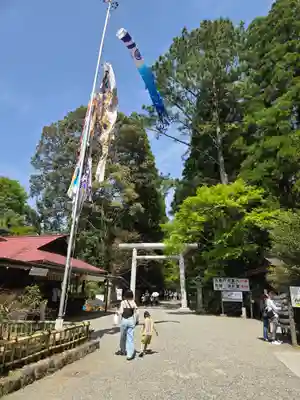 天岩戸神社(宮崎県)