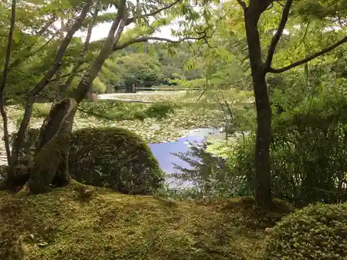 龍安寺の庭園