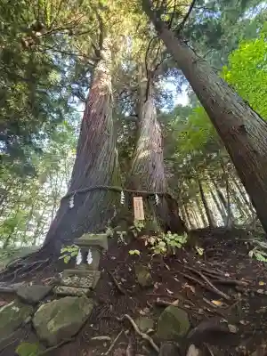 戸隠神社火之御子社(長野県)