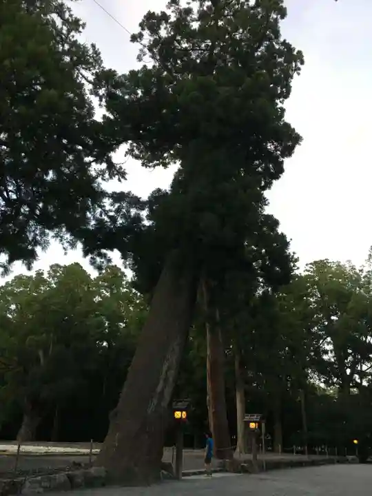 伊勢神宮外宮(豊受大神宮)の自然