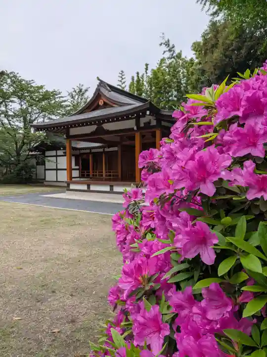 阿佐ヶ谷神明宮(東京都)