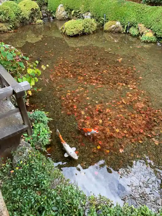 寂光院(京都府)