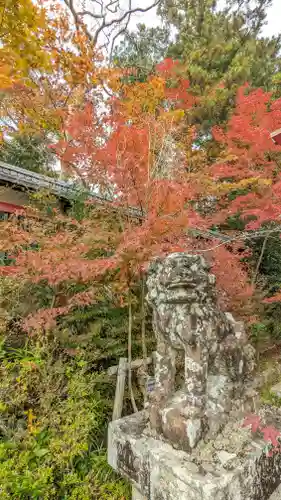 鍬山神社(京都府)