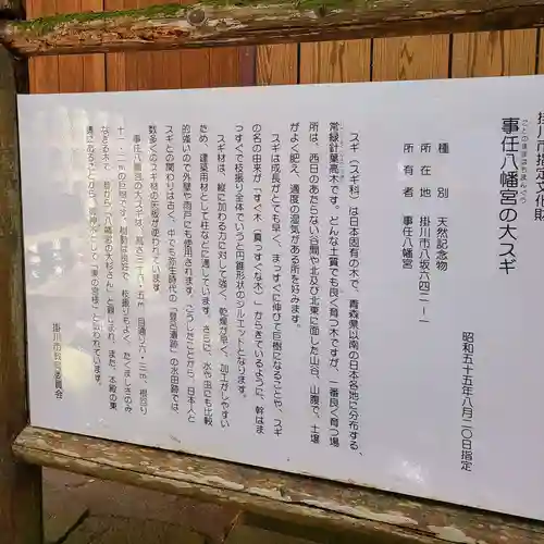 事任八幡宮(静岡県)