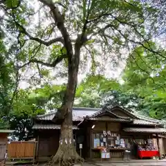 氷川女體神社の建物その他