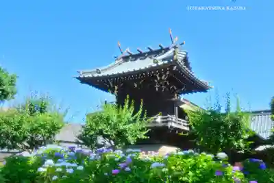 白山神社(東京都)