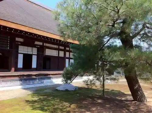 妙心寺（妙心禅寺）の庭園