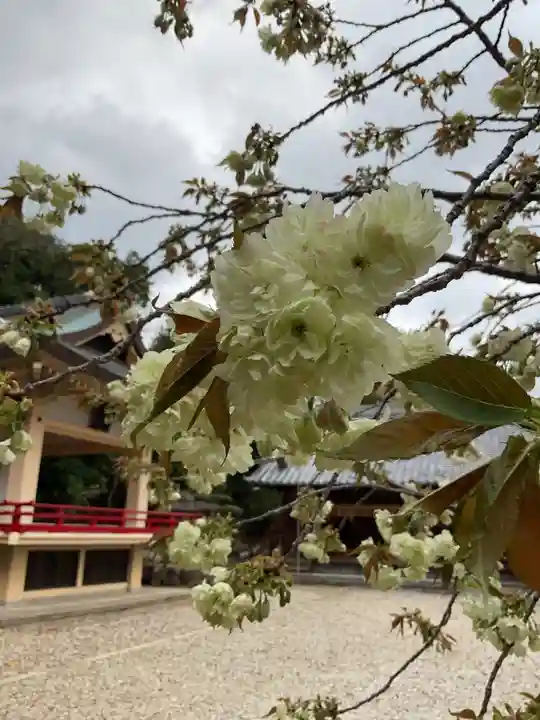 上地八幡宮(愛知県)