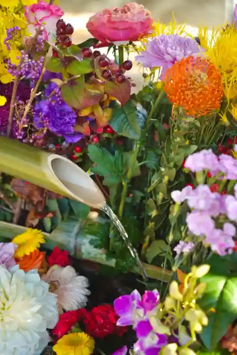 勝林寺(京都府)