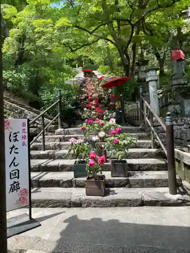 長谷寺の{uncategorized: "未分類", other: "その他", undefined: "問題あり", building: "その他建物", grave: "お墓", sacred_gate: "鳥居", guardian: "狛犬", statue: "像", buddha: "仏像", history: "歴史", nature: "自然", garden: "庭園", animal: "動物", pagoda: "塔", temizu: "手水舎", mountain_gate: "山門・神門", sanctuary: "本殿・本堂", subordinate: "末社・摂社", art: "芸術", scenery: "景色", jizo: "地蔵", ema: "絵馬", goshuin: "御朱印", omikuji: "おみくじ", items: "授与品その他", amulet: "お守り", goshuincho: "御朱印帳", eats: "食事", festival: "お祭り", votive_dance: "神楽", shichigosan: "七五三参", wedding: "結婚式", experience: "体験その他", initially: "初詣", around: "周辺", anti_infection: "感染症対策"}