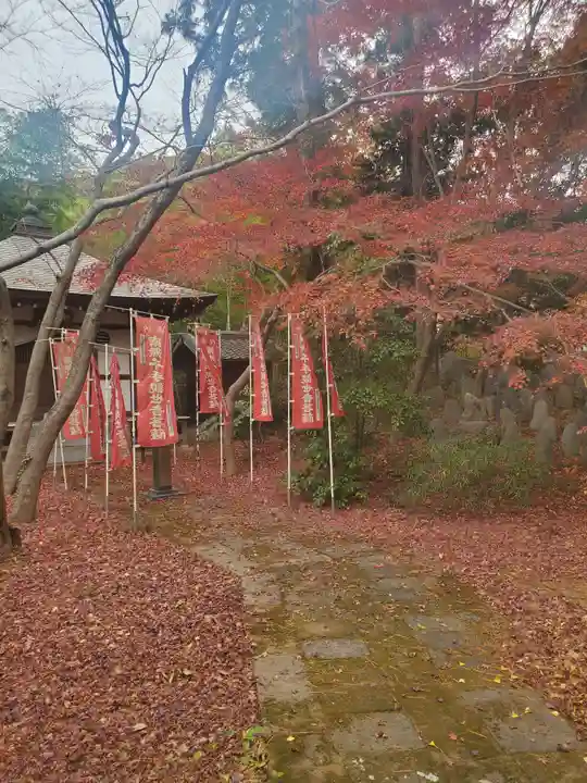 長林寺(山川長林寺)の周辺