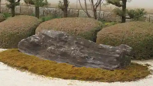 妙蓮寺(京都府)