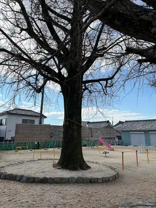 八幡社(寺津八幡社)(愛知県)