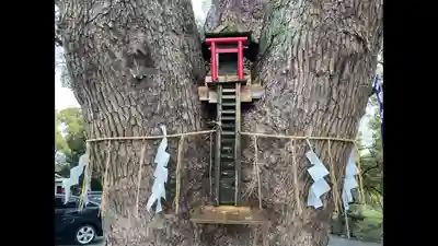 加藤神社(熊本県)