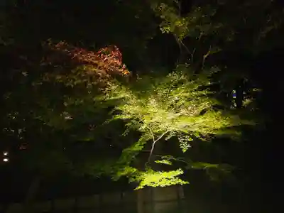 清水寺(京都府)