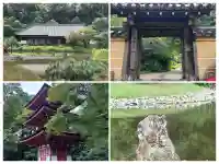 浄瑠璃寺(京都府)