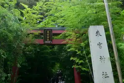 來宮神社(静岡県)
