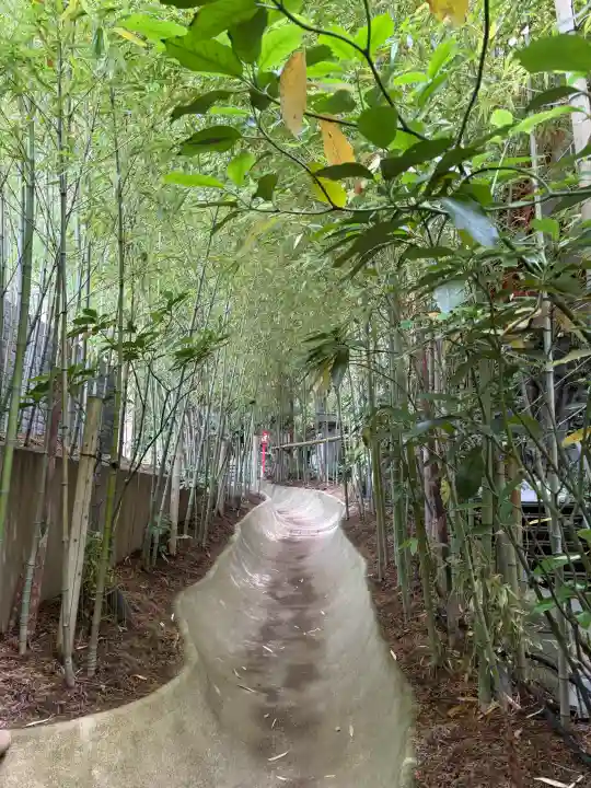 來宮神社の{uncategorized: "未分類", other: "その他", undefined: "問題あり", building: "その他建物", grave: "お墓", sacred_gate: "鳥居", guardian: "狛犬", statue: "像", buddha: "仏像", history: "歴史", nature: "自然", garden: "庭園", animal: "動物", pagoda: "塔", temizu: "手水舎", mountain_gate: "山門・神門", sanctuary: "本殿・本堂", subordinate: "末社・摂社", art: "芸術", scenery: "景色", jizo: "地蔵", ema: "絵馬", goshuin: "御朱印", omikuji: "おみくじ", items: "授与品その他", amulet: "お守り", goshuincho: "御朱印帳", eats: "食事", festival: "お祭り", votive_dance: "神楽", shichigosan: "七五三参", wedding: "結婚式", experience: "体験その他", initially: "初詣", around: "周辺", anti_infection: "感染症対策"}