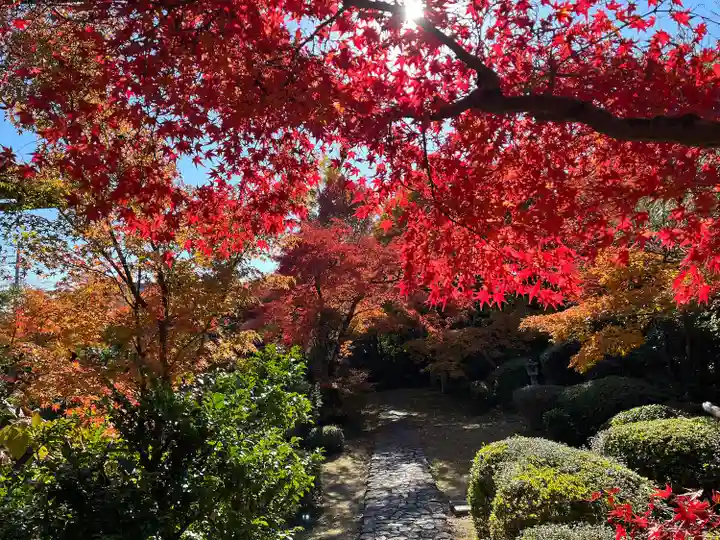 善法律寺(京都府)